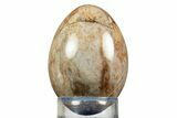 Polished Petrified Palm Root Egg - California #309030-1